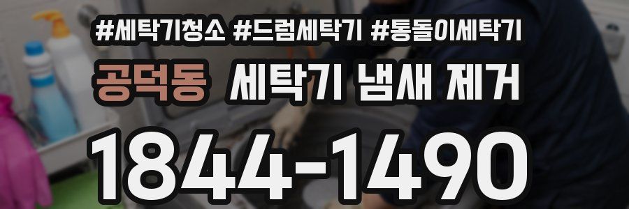 공덕동 세탁기 냄새 제거
