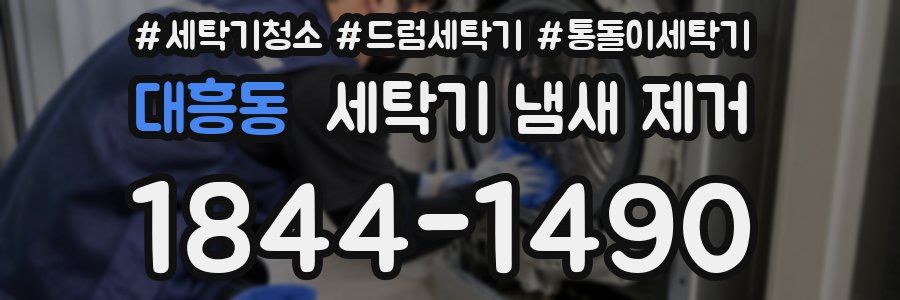 대흥동 세탁기 냄새 제거