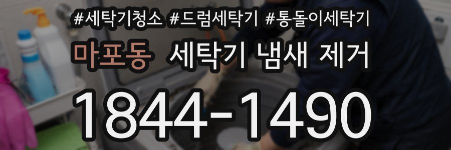 마포동 세탁기 냄새 제거