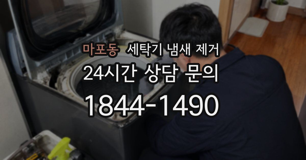 마포동 세탁기 냄새 제거