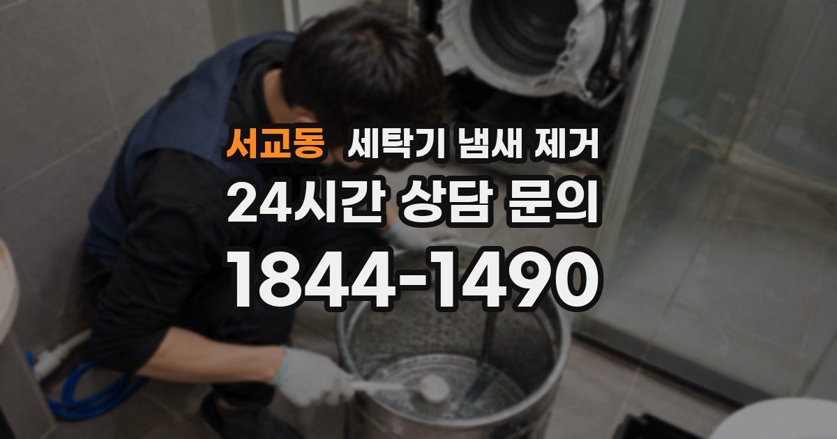 서교동 세탁기 냄새 제거