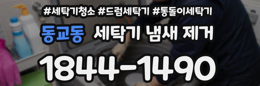 동교동 세탁기 냄새 제거