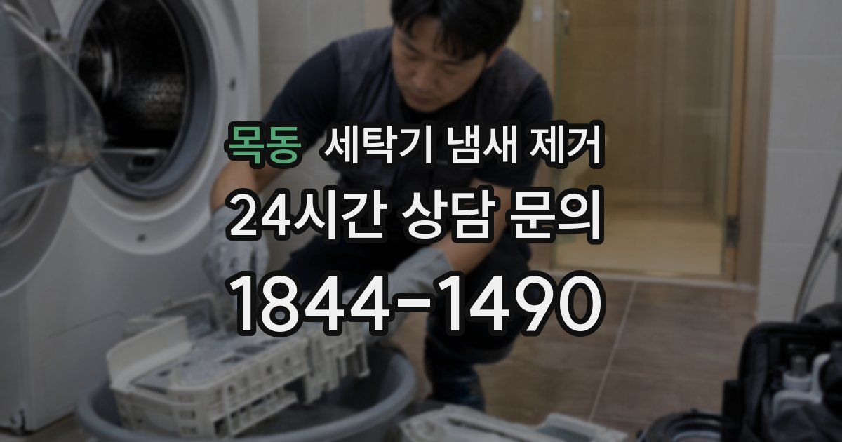 목동 세탁기 냄새 제거