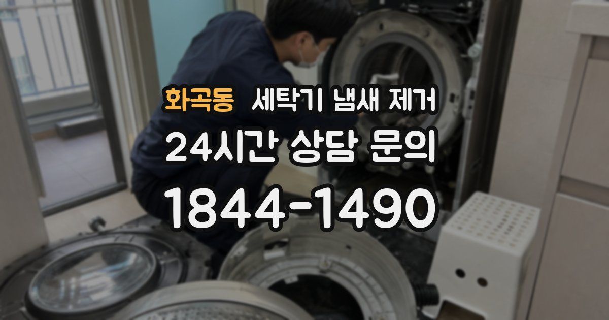 화곡동 세탁기 냄새 제거