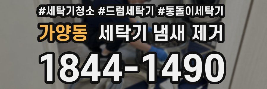 가양동 세탁기 냄새 제거