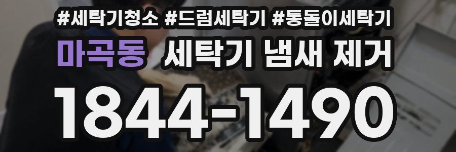 마곡동 세탁기 냄새 제거