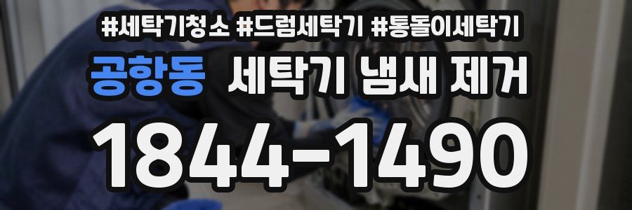 공항동 세탁기 냄새 제거