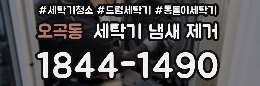 오곡동 세탁기 냄새 제거