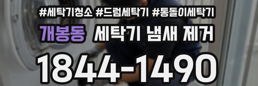 개봉동 세탁기 냄새 제거