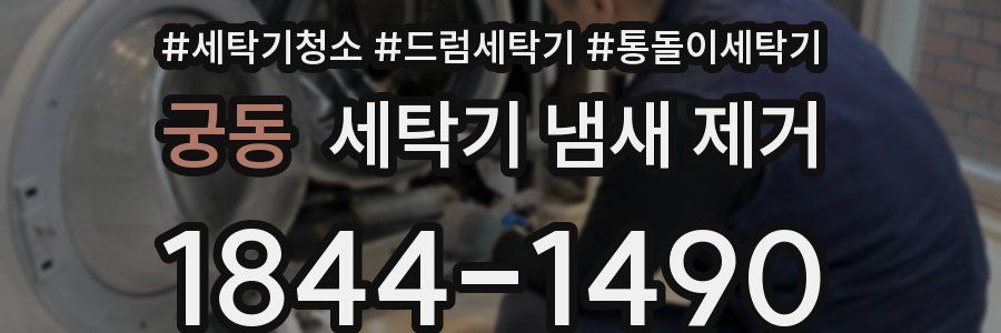 궁동 세탁기 냄새 제거