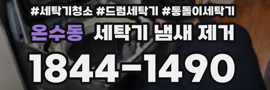 온수동 세탁기 냄새 제거