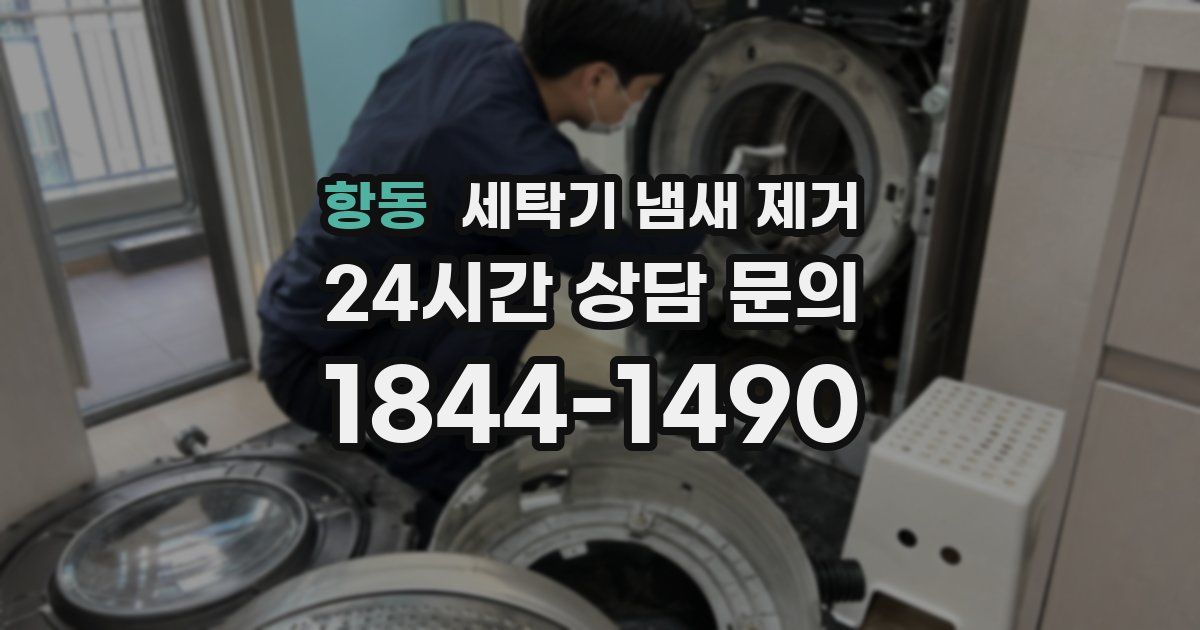항동 세탁기 냄새 제거