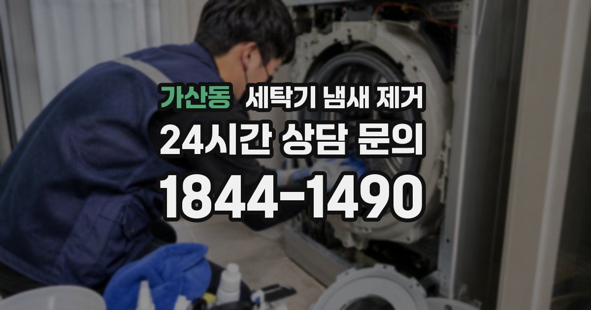 가산동 세탁기 냄새 제거