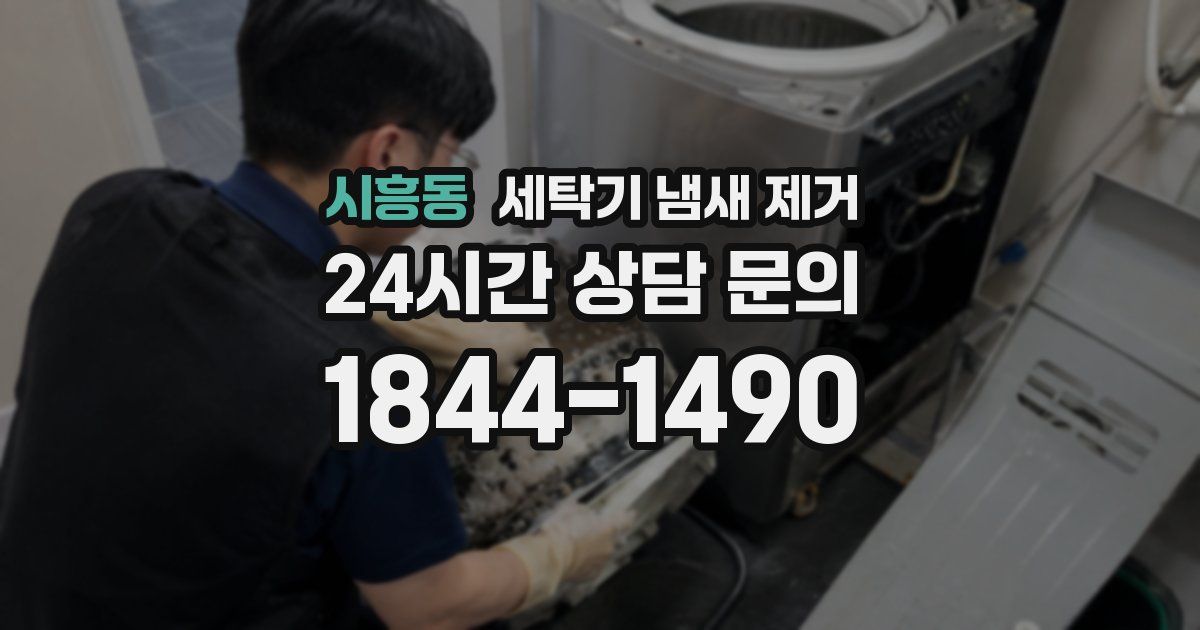 시흥동 세탁기 냄새 제거
