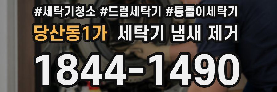 당산동1가 세탁기 냄새 제거