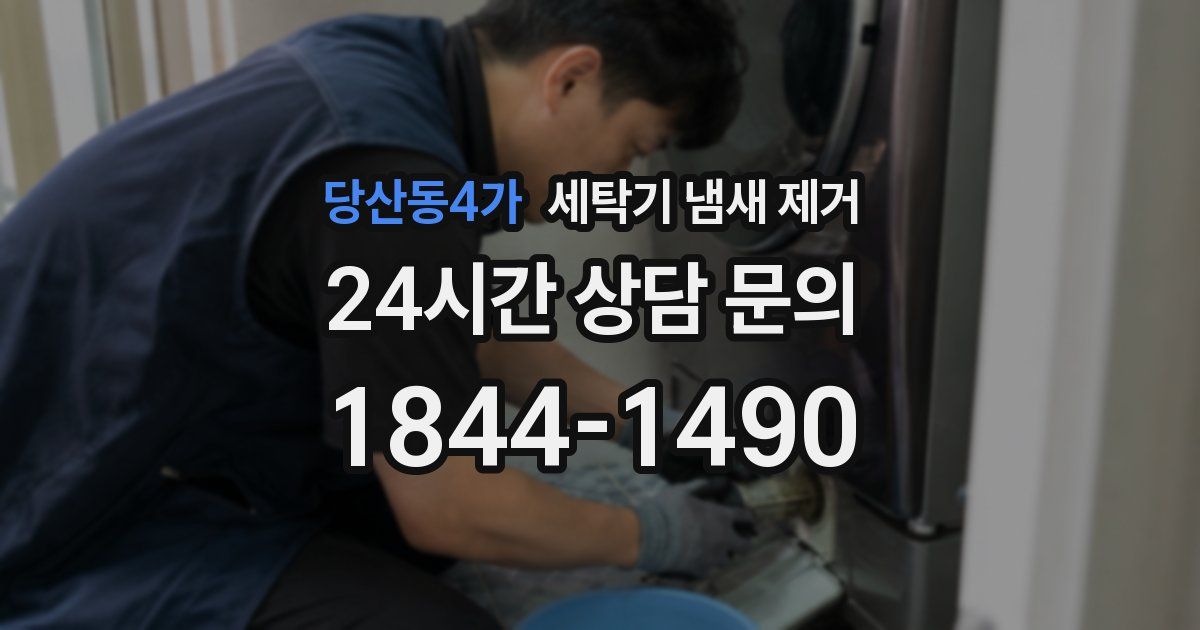 당산동4가 세탁기 냄새 제거