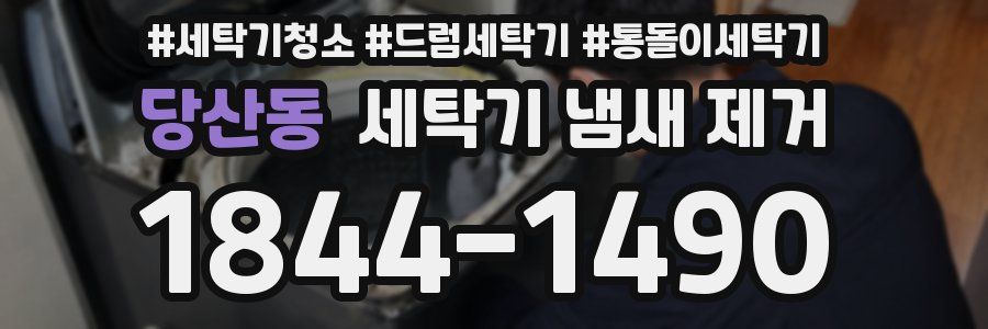 당산동 세탁기 냄새 제거