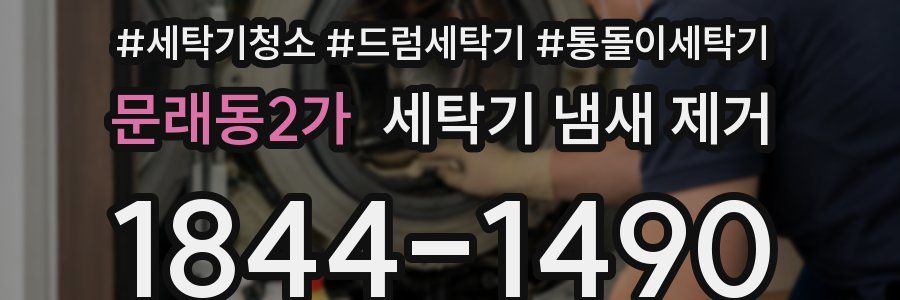 문래동2가 세탁기 냄새 제거