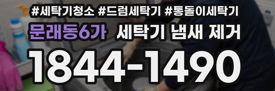 문래동6가 세탁기 냄새 제거