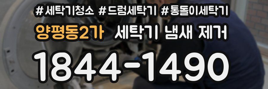 양평동2가 세탁기 냄새 제거