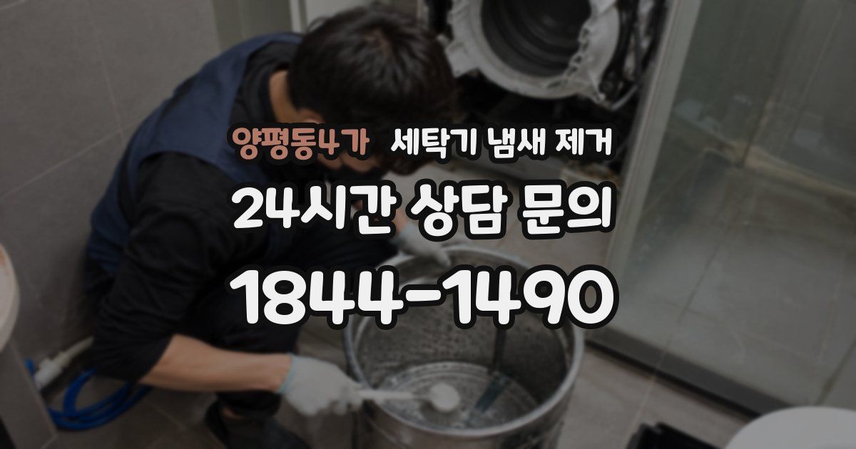 양평동4가 세탁기 냄새 제거