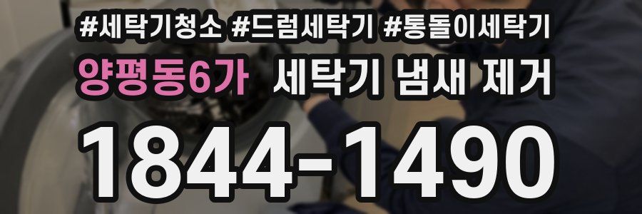 양평동6가 세탁기 냄새 제거