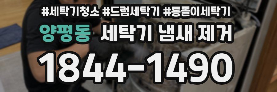 양평동 세탁기 냄새 제거