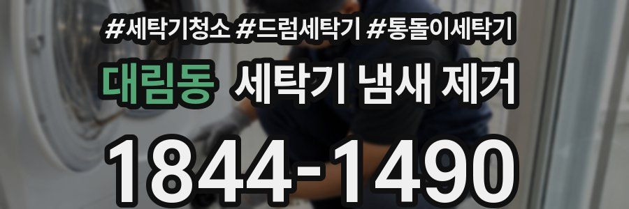 대림동 세탁기 냄새 제거