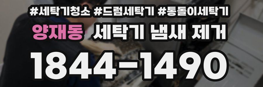 양재동 세탁기 냄새 제거