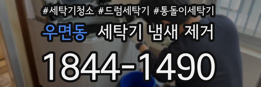 우면동 세탁기 냄새 제거