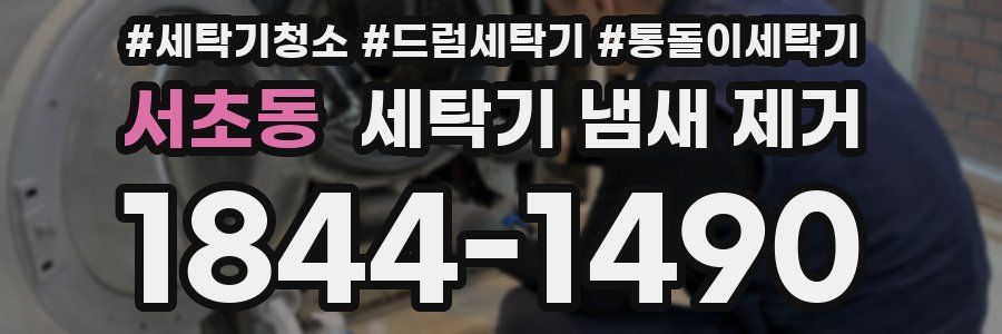 서초동 세탁기 냄새 제거