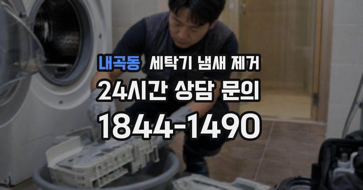 내곡동 세탁기 냄새 제거