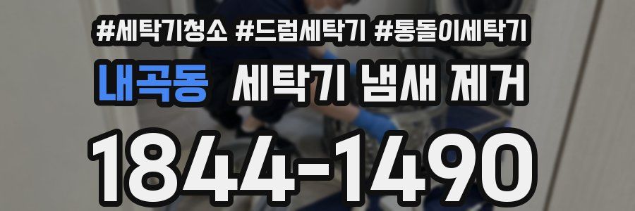 내곡동 세탁기 냄새 제거