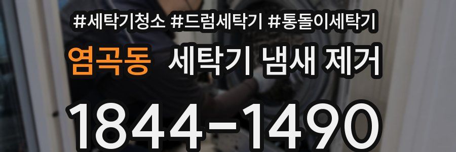 염곡동 세탁기 냄새 제거