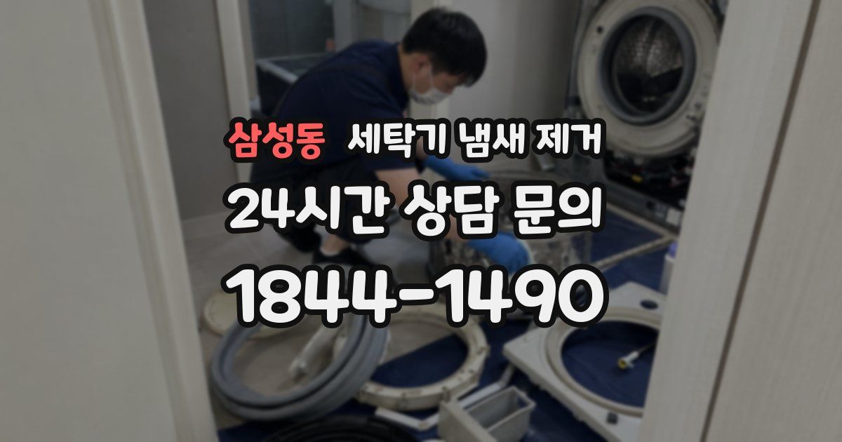 삼성동 세탁기 냄새 제거