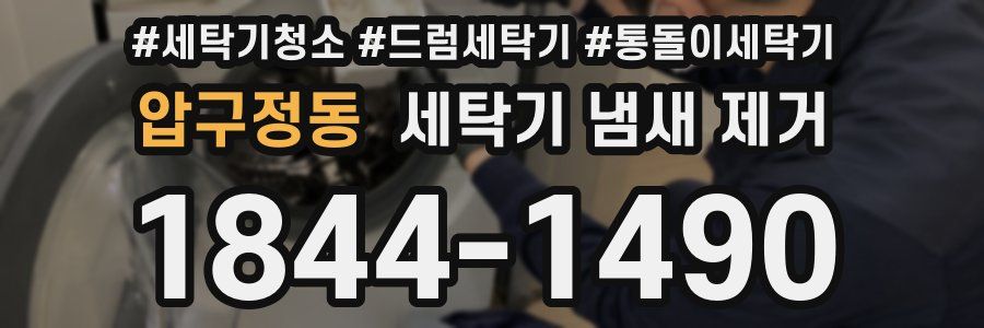 압구정동 세탁기 냄새 제거
