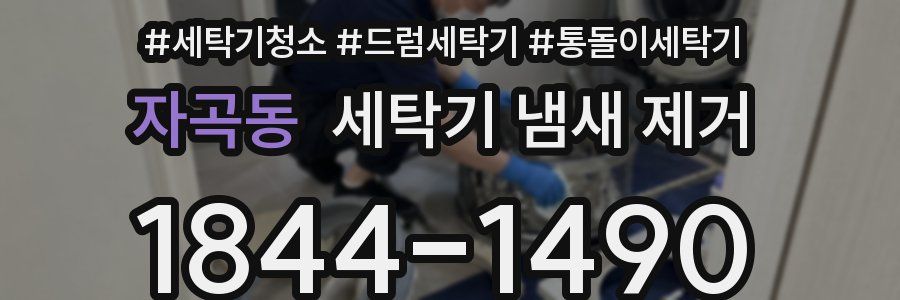자곡동 세탁기 냄새 제거