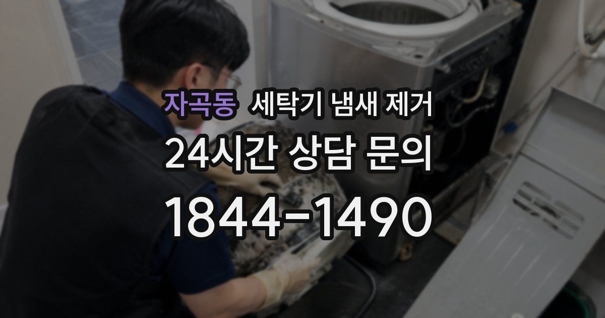 자곡동 세탁기 냄새 제거