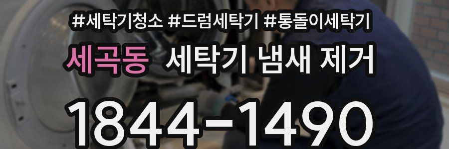 세곡동 세탁기 냄새 제거