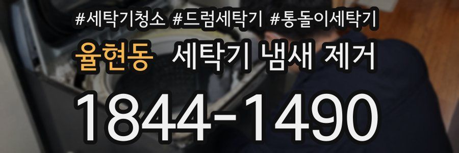 율현동 세탁기 냄새 제거