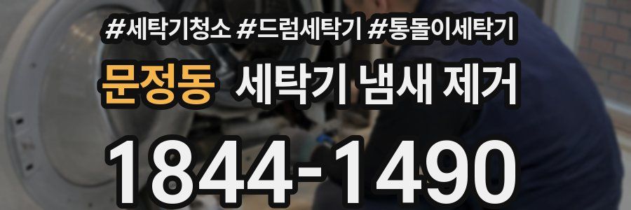 문정동 세탁기 냄새 제거