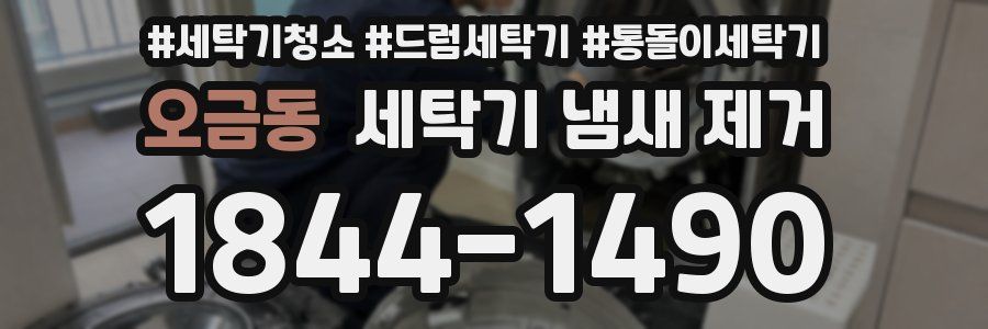 오금동 세탁기 냄새 제거