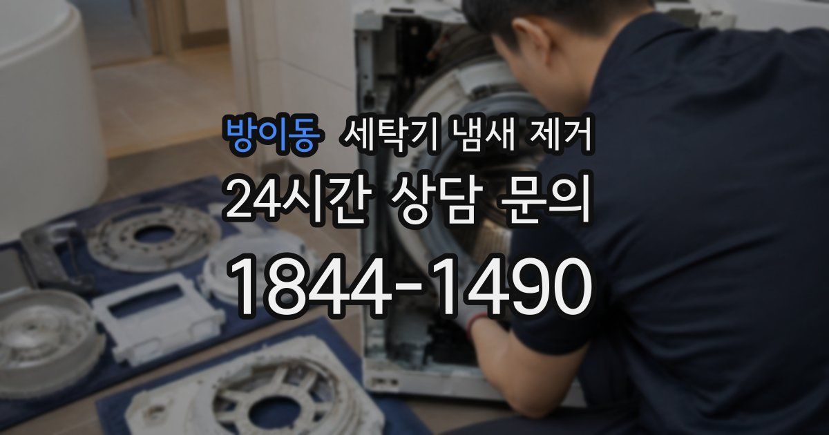 방이동 세탁기 냄새 제거