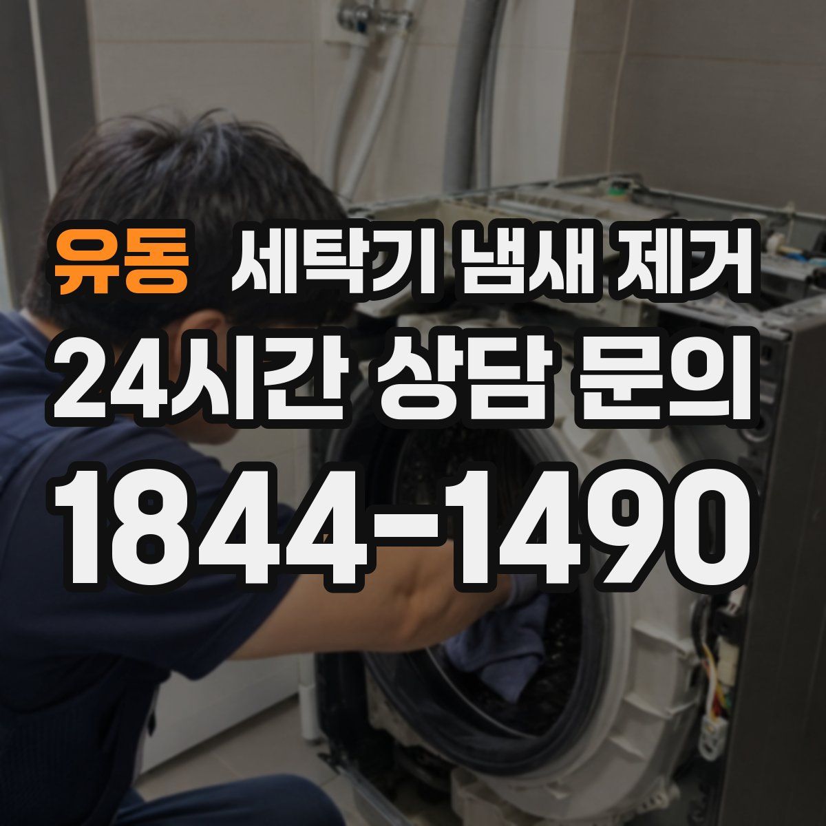 유동 세탁기 냄새 제거