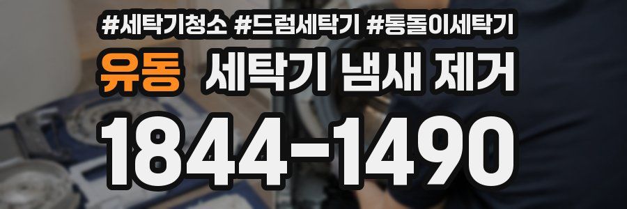 유동 세탁기 냄새 제거