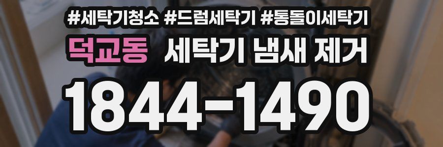 덕교동 세탁기 냄새 제거