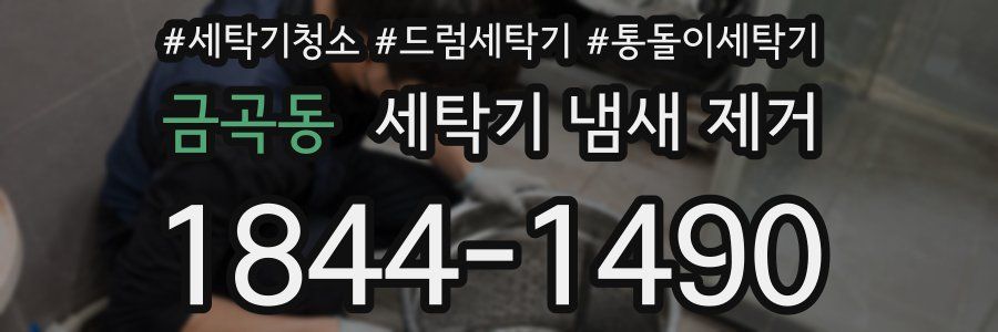 금곡동 세탁기 냄새 제거