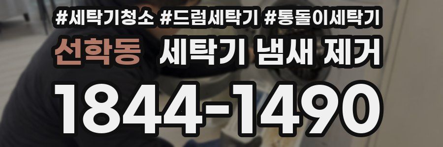 선학동 세탁기 냄새 제거