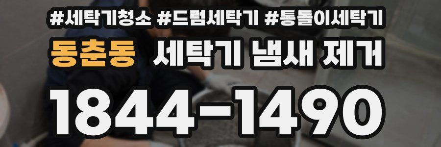 동춘동 세탁기 냄새 제거