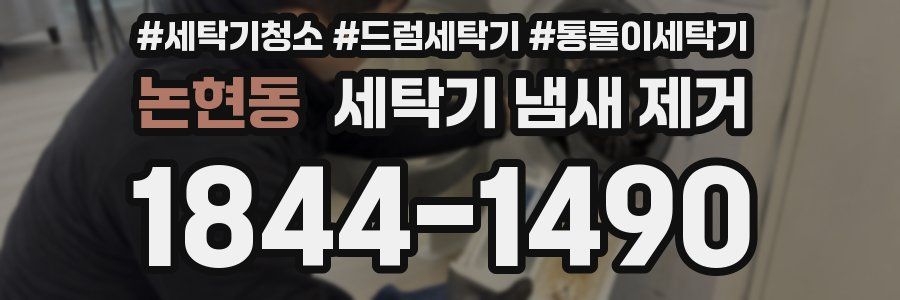 논현동 세탁기 냄새 제거